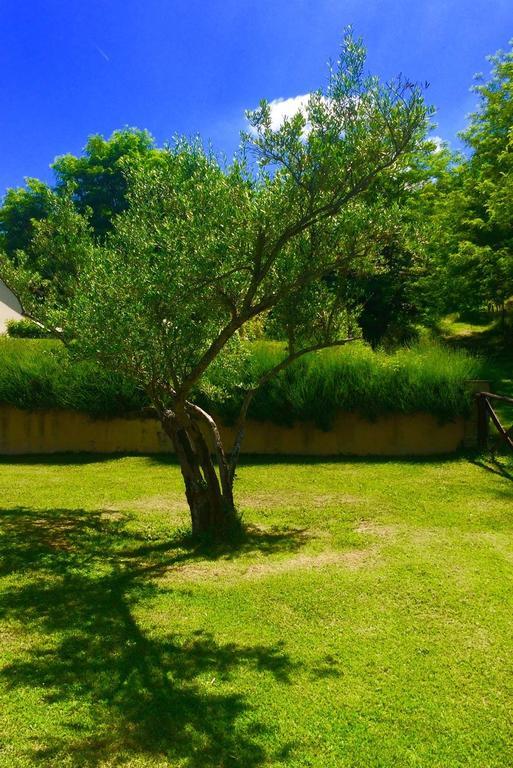 Agriturismo Acero Rosso Civitella di Romagna Dış mekan fotoğraf